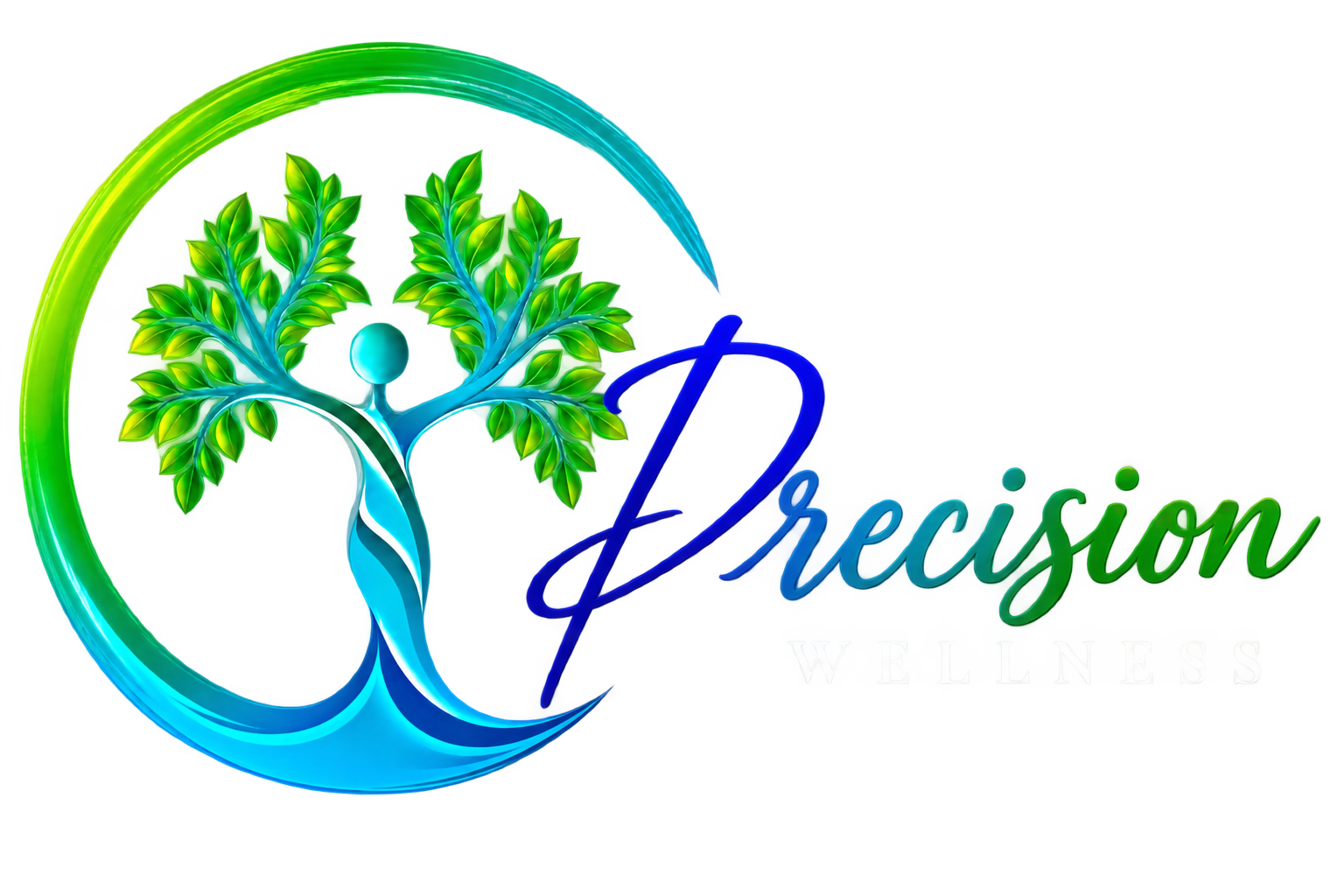 Precision Wellness Center